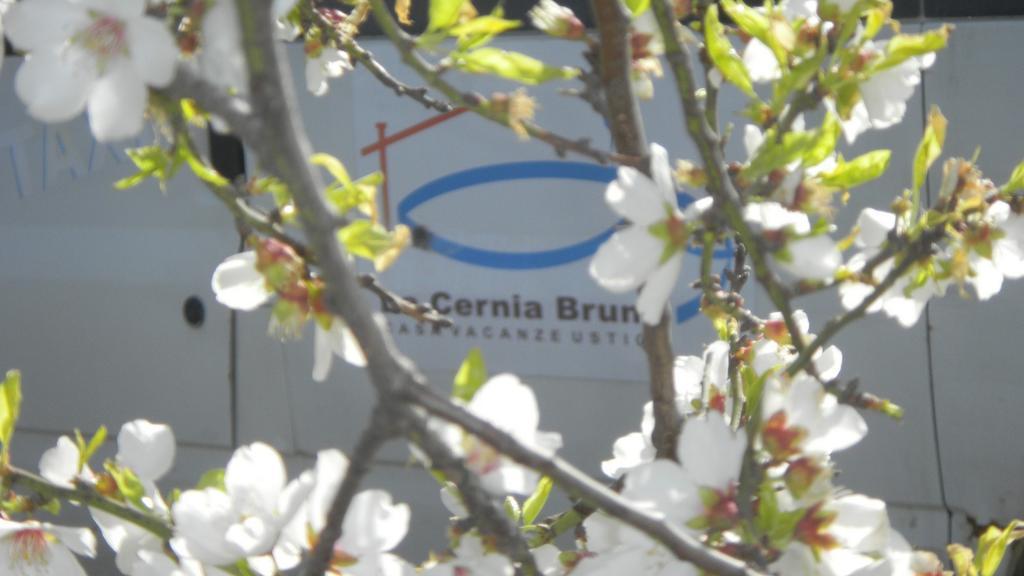 Case Vacanze La Cernia Bruna Isola di Ustica Exterior photo